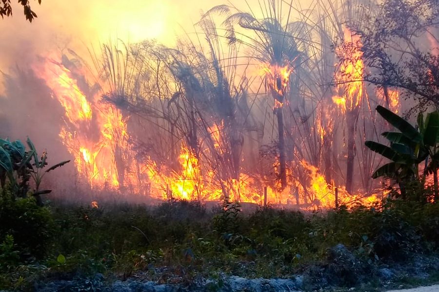 Ejército cuenta con cinco helicópteros para combatir incendios forestales