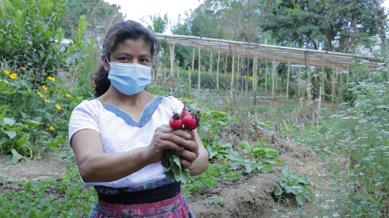 Evalúan a productores agrícolas que buscan integrarse al Programa de Alimentación Escolar