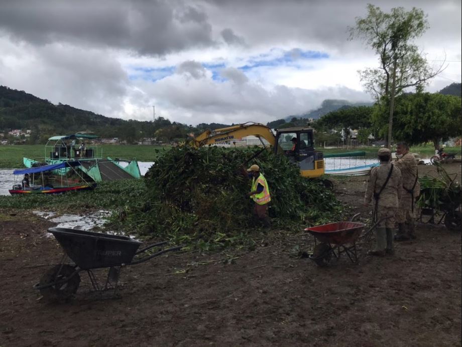 Extraen más de mil 700 toneladas de ninfa de la laguna Chichoj