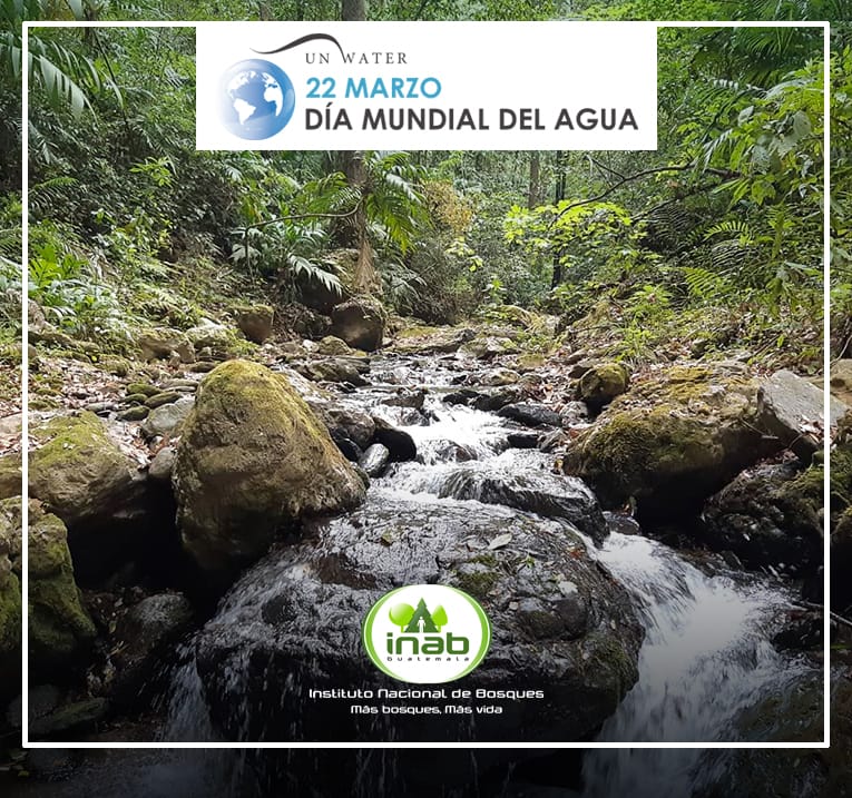 Inab promueve acciones para el cuidado del agua