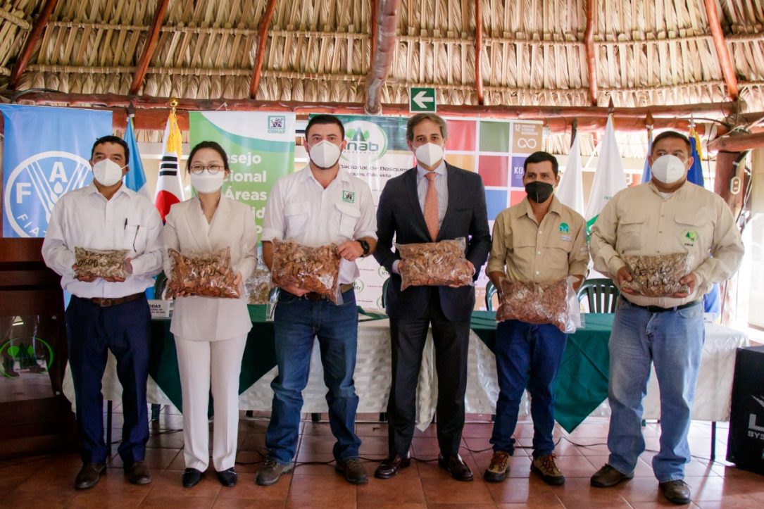 Donan 113,2 libras de semillas de especies forestales a Guatemala
