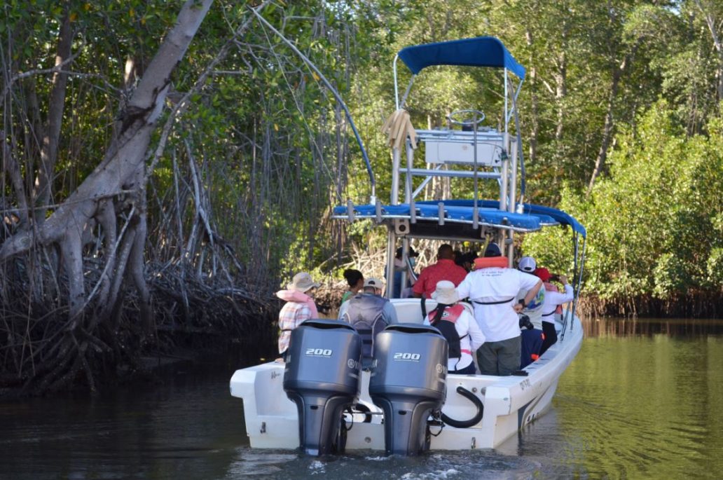 Realizan monitoreo de fauna marina en Santa Rosa