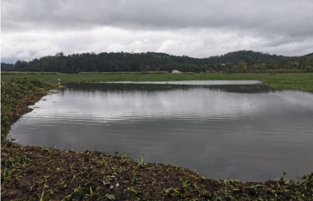 El MARN ejecuta planes para proteger la laguna Calderas