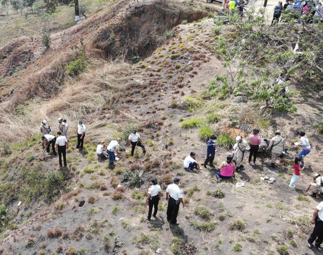 Realizan campaña de reforestación en colonia Nimajuyú