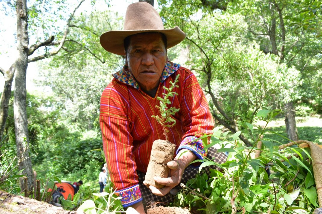 El mundo conmemora el Día de la Madre Tierra