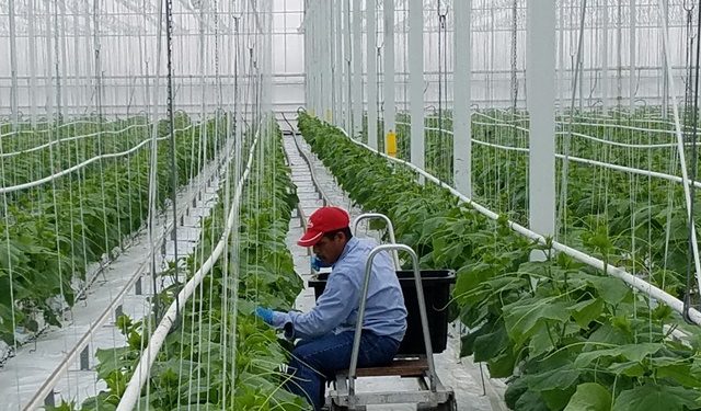 España y Guatemala avanzan en la contratación de trabajadores temporales