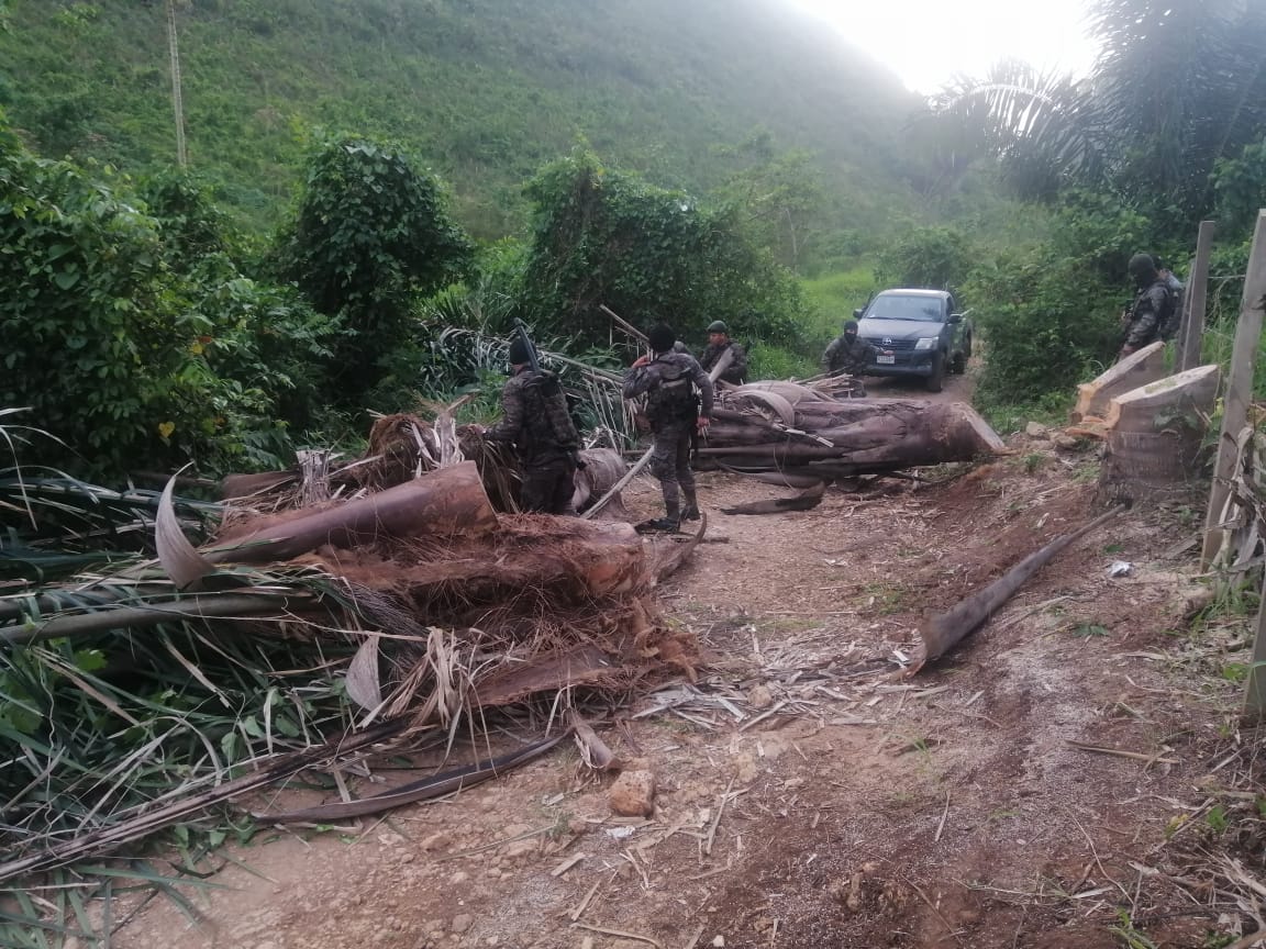 Ejército localiza aeronave incinerada y posible droga en Sierra del Lacandón