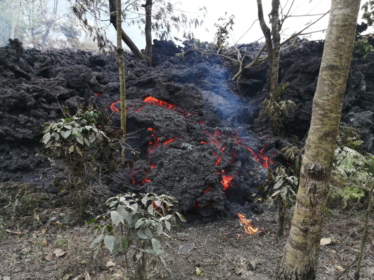 Flujos de lava continúan avanzando y generan riesgo para cultivos