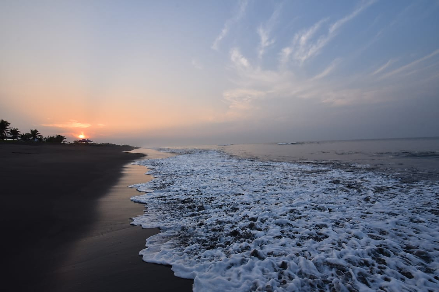 Sipacate, morena del sur