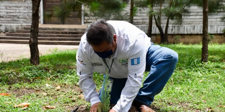 Inab se alista para ejecutar proyecto Sembrando Huella 2021