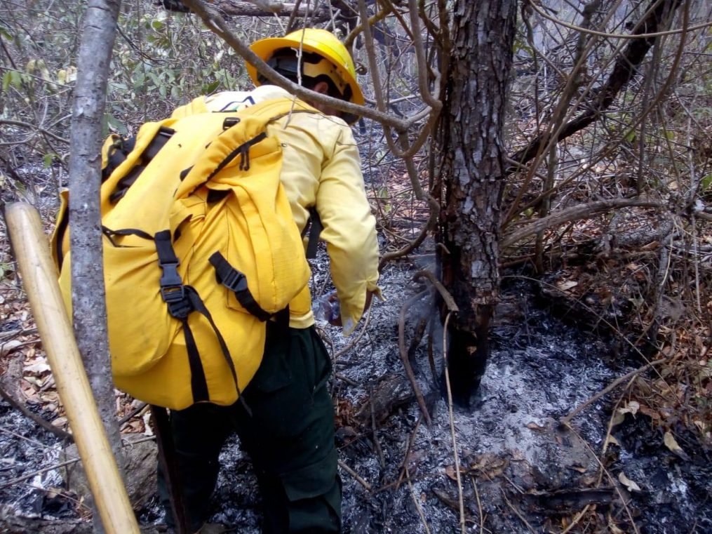 Incendios causan daños en 653.74 hectáreas de áreas protegidas