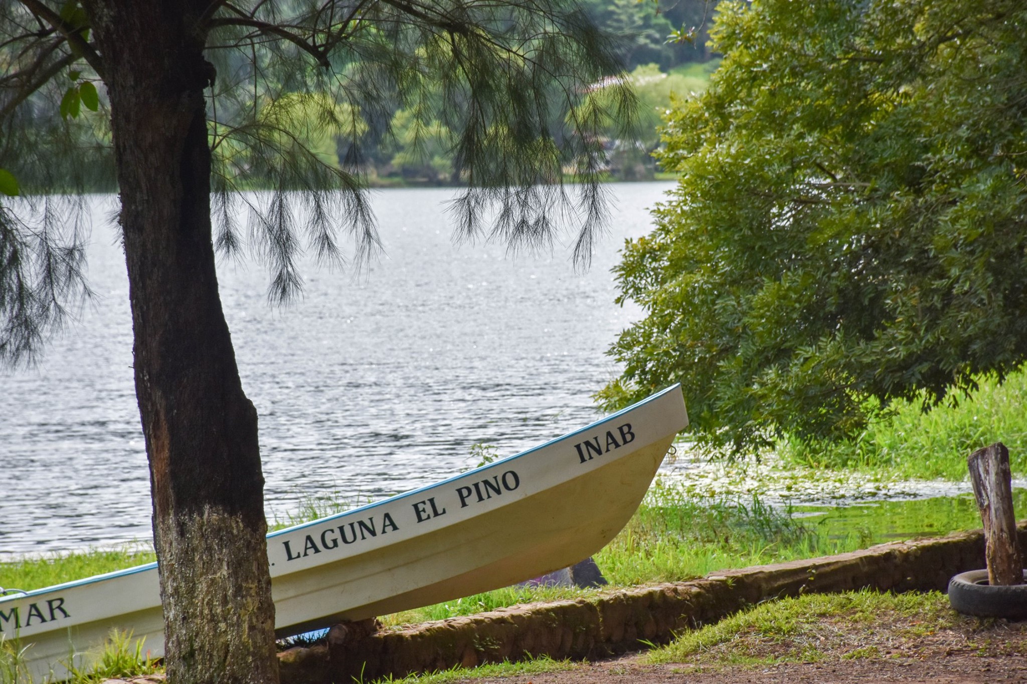 Conozca el espejo de agua y el bosque del parque nacional Laguna El Pino