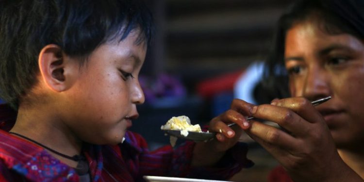 Se conmemora el 16 aniversario del Sistema Nacional de Seguridad Alimentaria y Nutricional