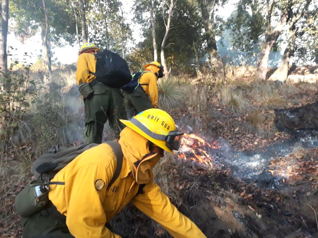 Incendios forestales afectan más de 22 hectáreas de bosques en Totonicapán