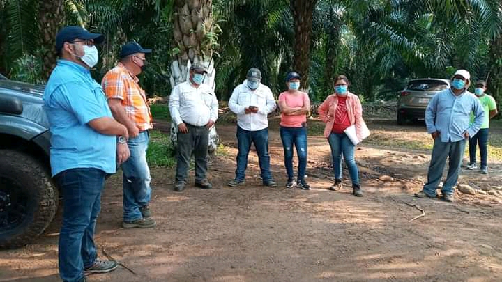 Inspeccionan sector del río Ocosito por posible contaminación