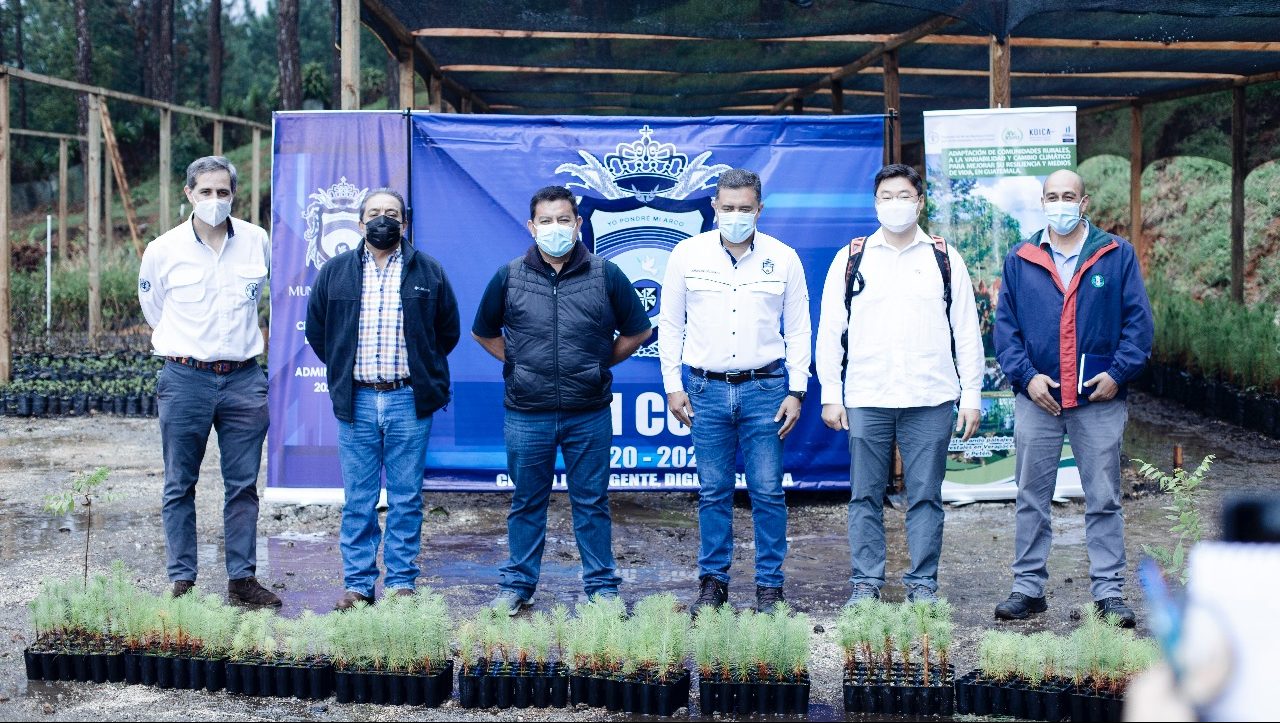 Gestionan cooperación internacional para proteger bosques de Alta Verapaz