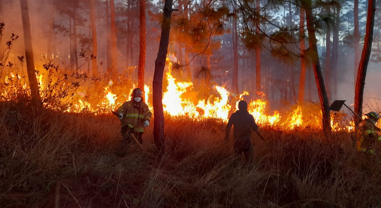 Incendios forestales afectan más de mil 500 hectáreas