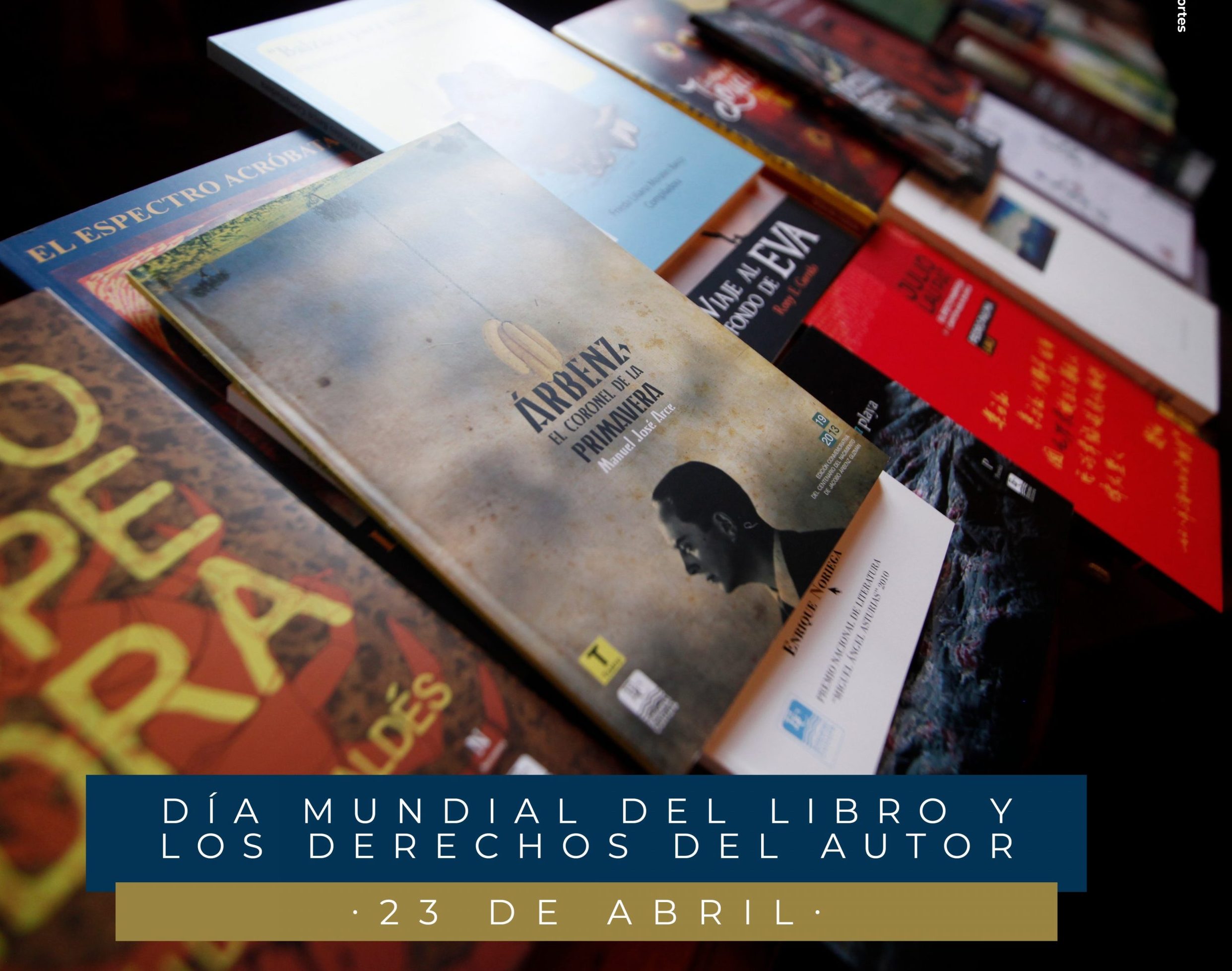 Colecciones de libros impulsadas por el MCD