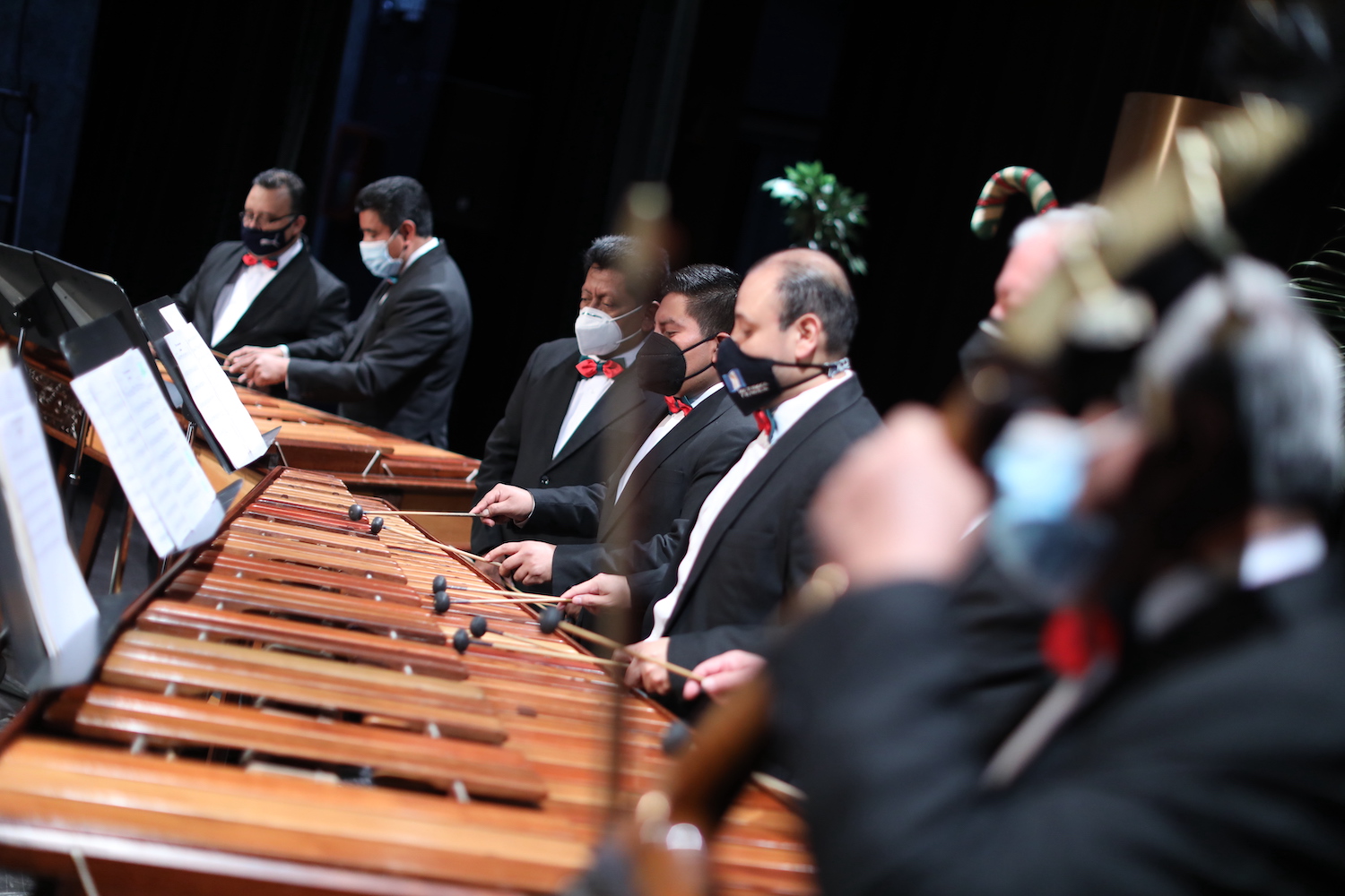 La sorprendente historia del vals “Noche de luna entre ruinas”