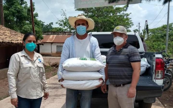 Productores de Chiquimula reciben semilla de arroz mejorada