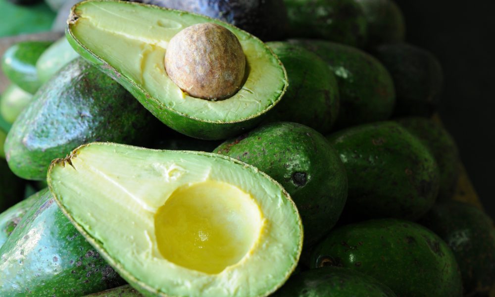 Arranca Congreso Nacional de Aguacate, centrado en incursionar en nuevos mercados