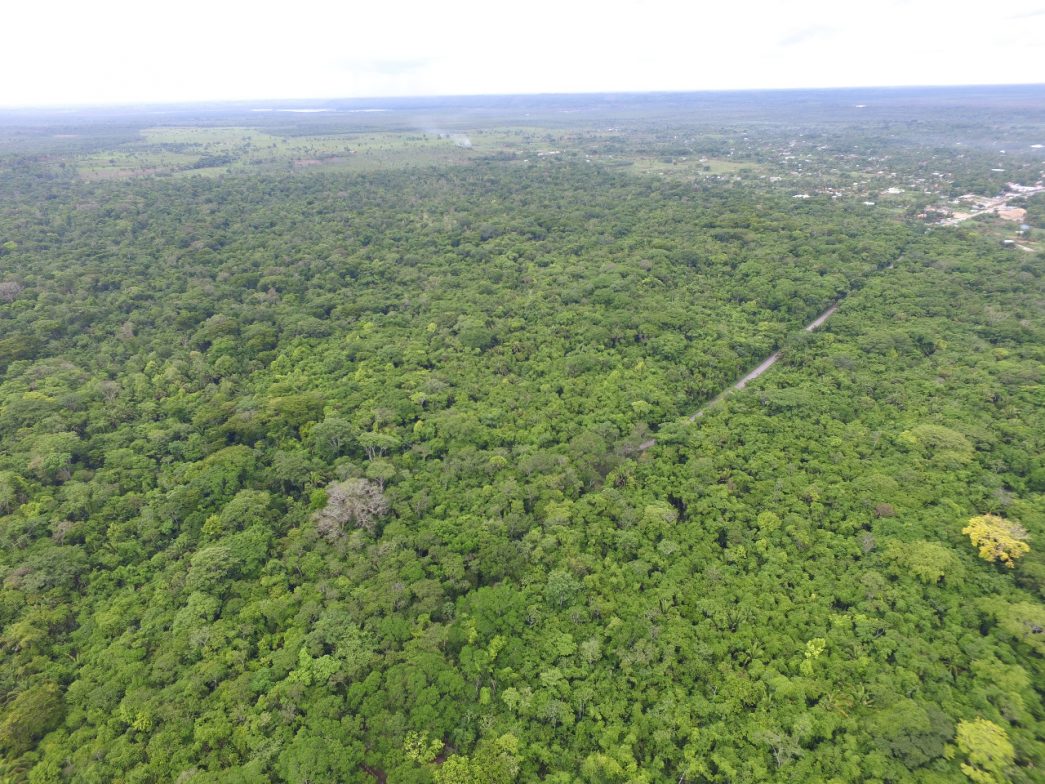 Avanza levantamiento de datos para crear Inventario Forestal Nacional de Guatemala