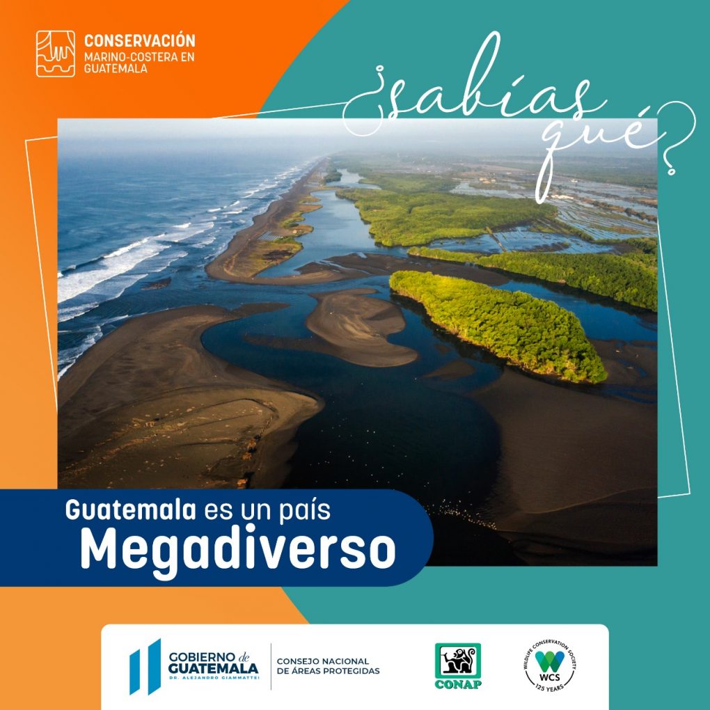 Lanzan campaña para la conservación marino-costera en Guatemala