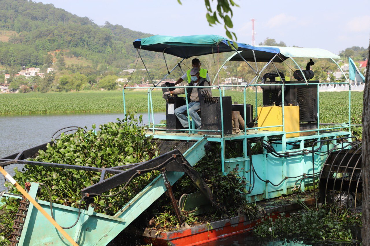 Extraen más de 24 mil toneladas de ninfa de laguna Chichoj
