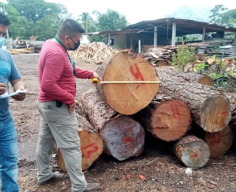 Inab inspecciona industria forestal en Huehuetenango