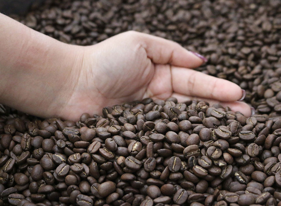 Entre los principales productos de exportación esta el café.