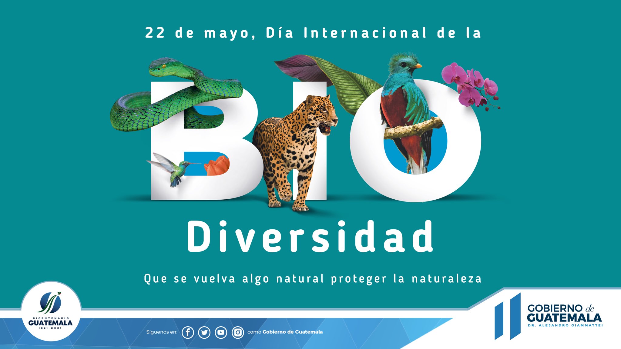 Guatemala llama a la protección de la naturaleza