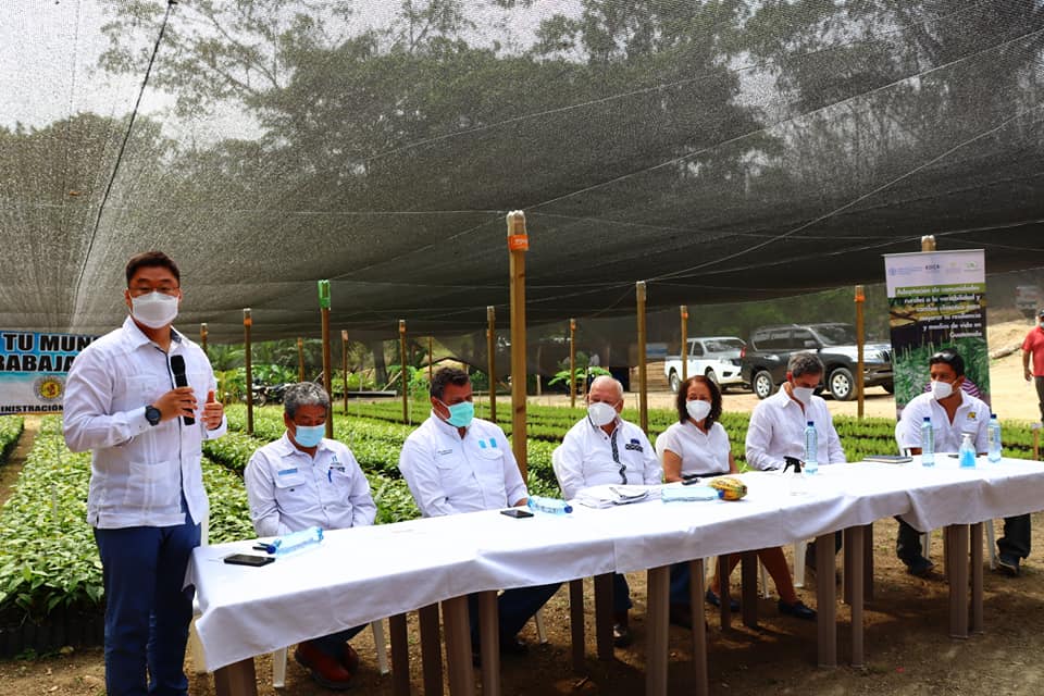 Verifican ejecución de proyecto de resiliencia y restauración forestal en Petén