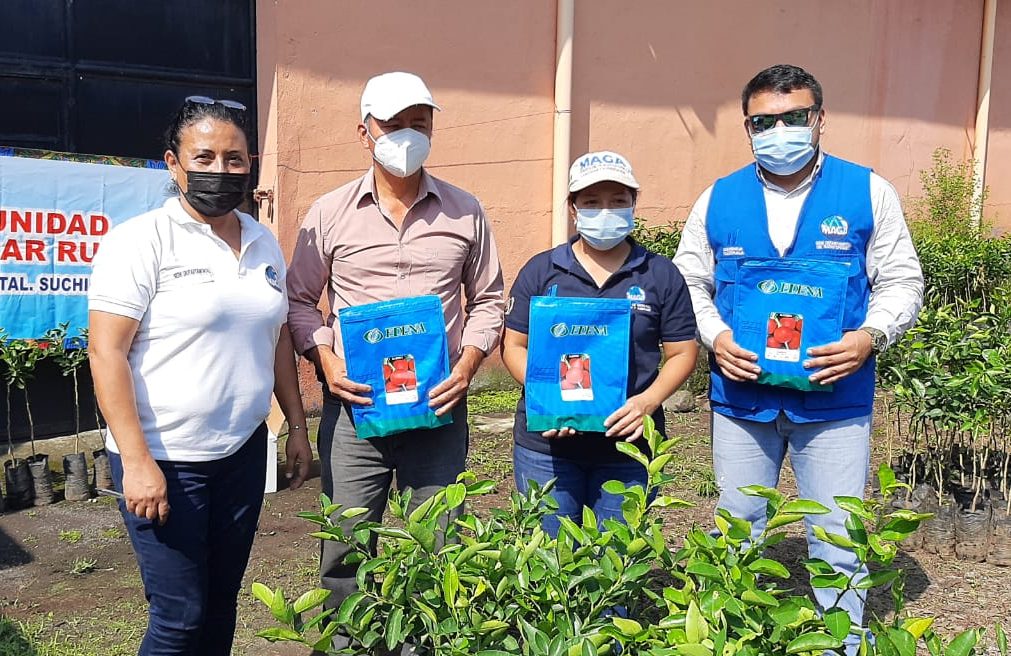 Extensionistas rurales entregarán árboles frutales y semillas de hortalizas en Suchitepéquez