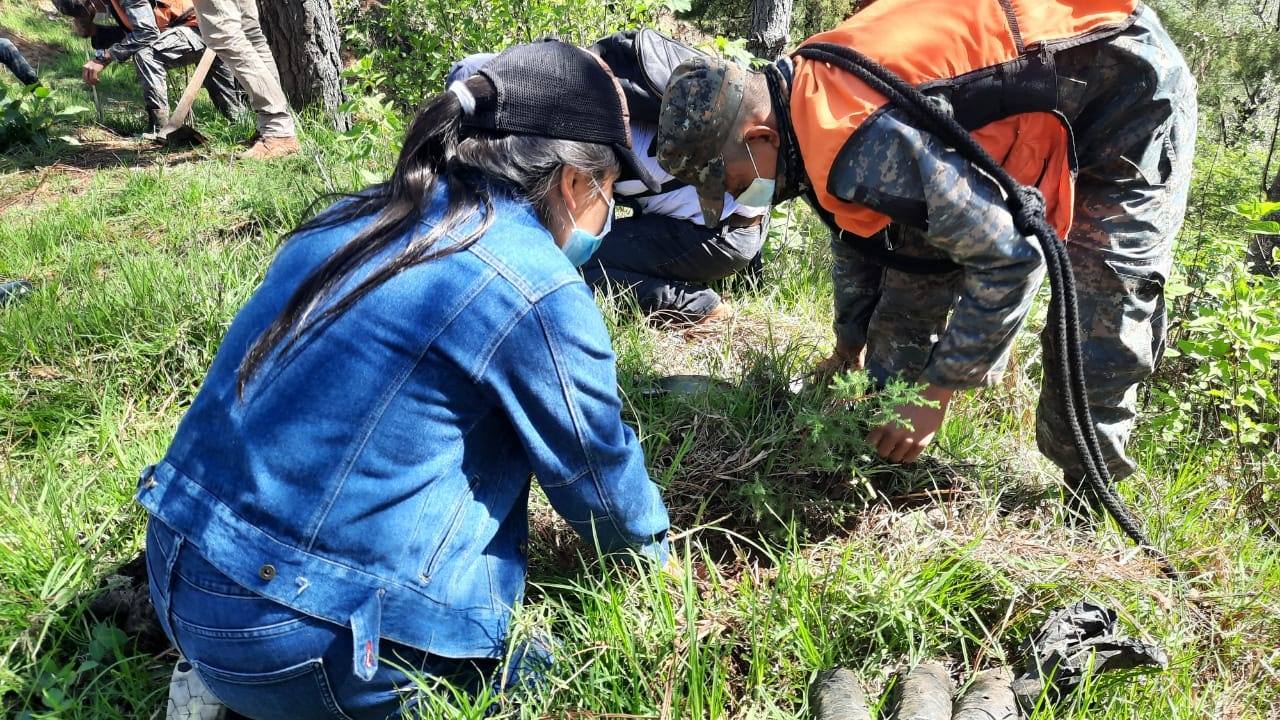 Ejército apoya en reforestación de zona montañosa de Comitancillo