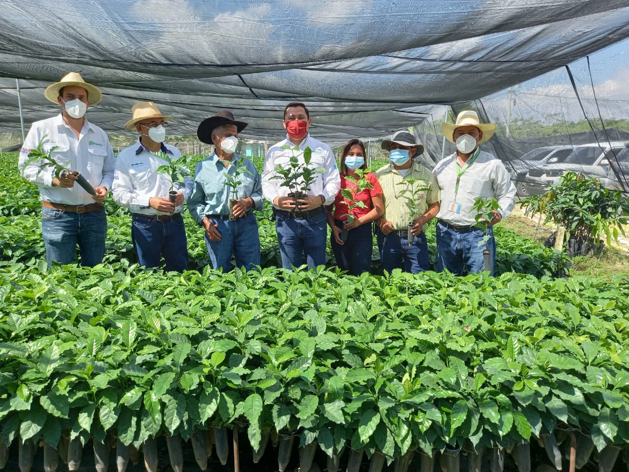 MAGA apoya a productores de café y aguacate Hass en Huehuetenango