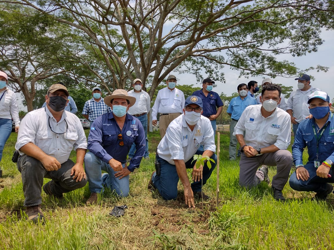 Unen esfuerzos para la conservación de la cuenca del río Ocosito