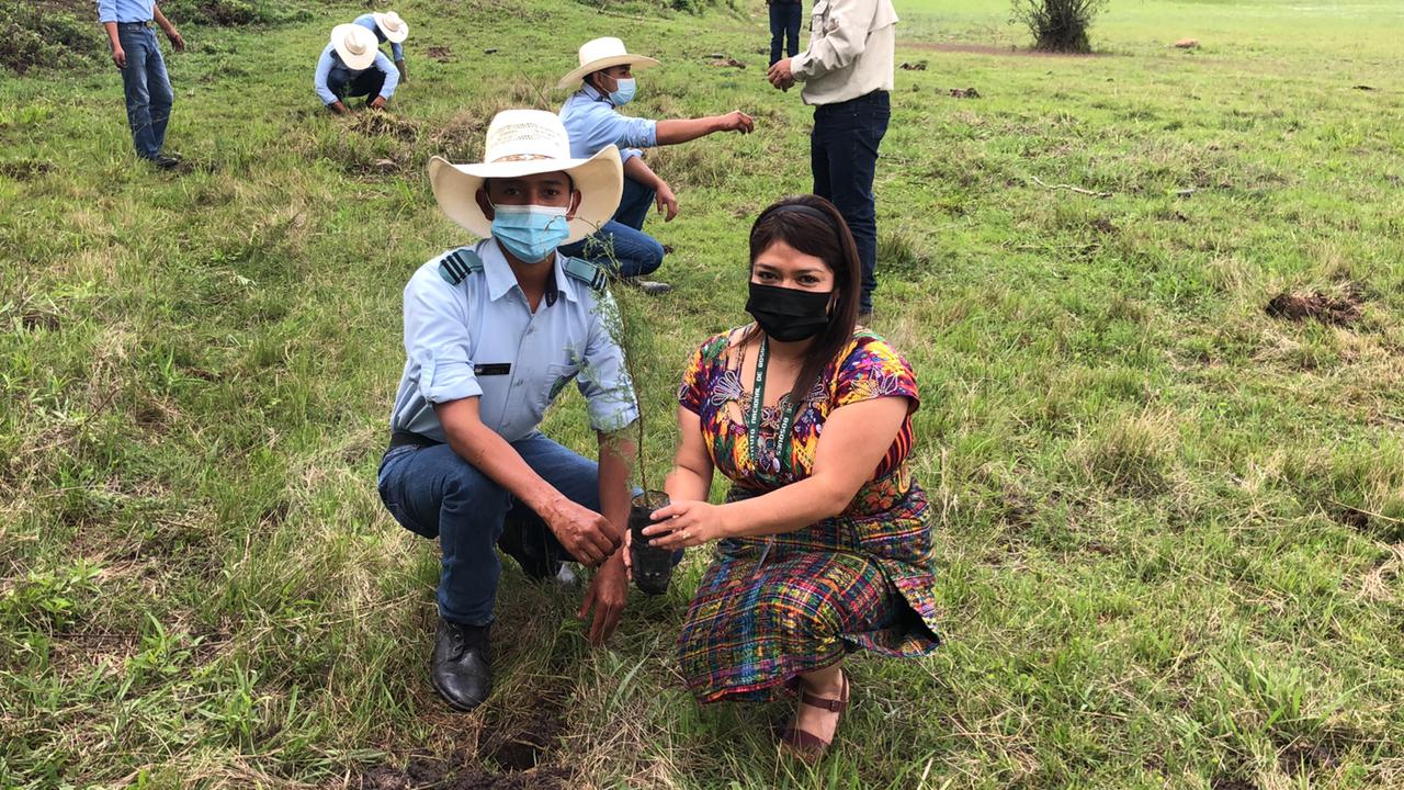 Quiché asume compromiso con la reforestación