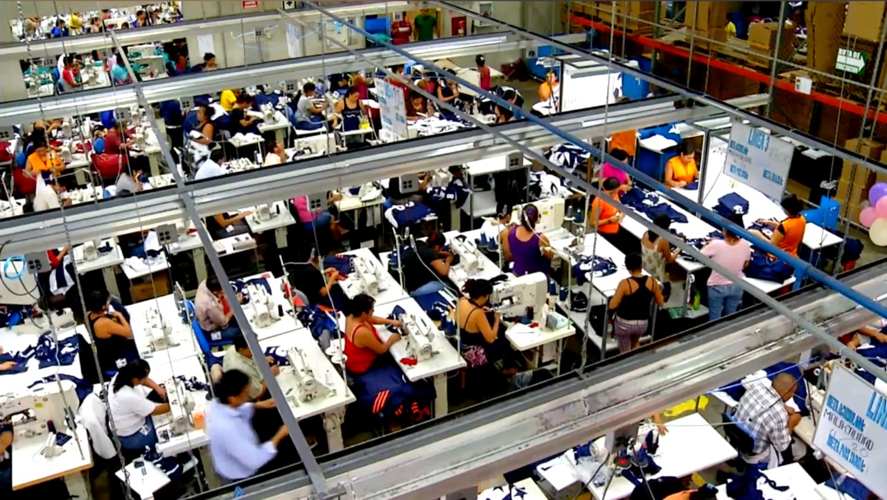 Acciones sobre calificación económica
