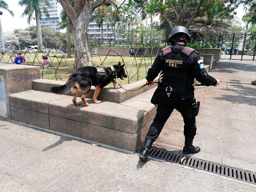 Mantienen operativos de seguridad ciudadana en el Centro Histórico
