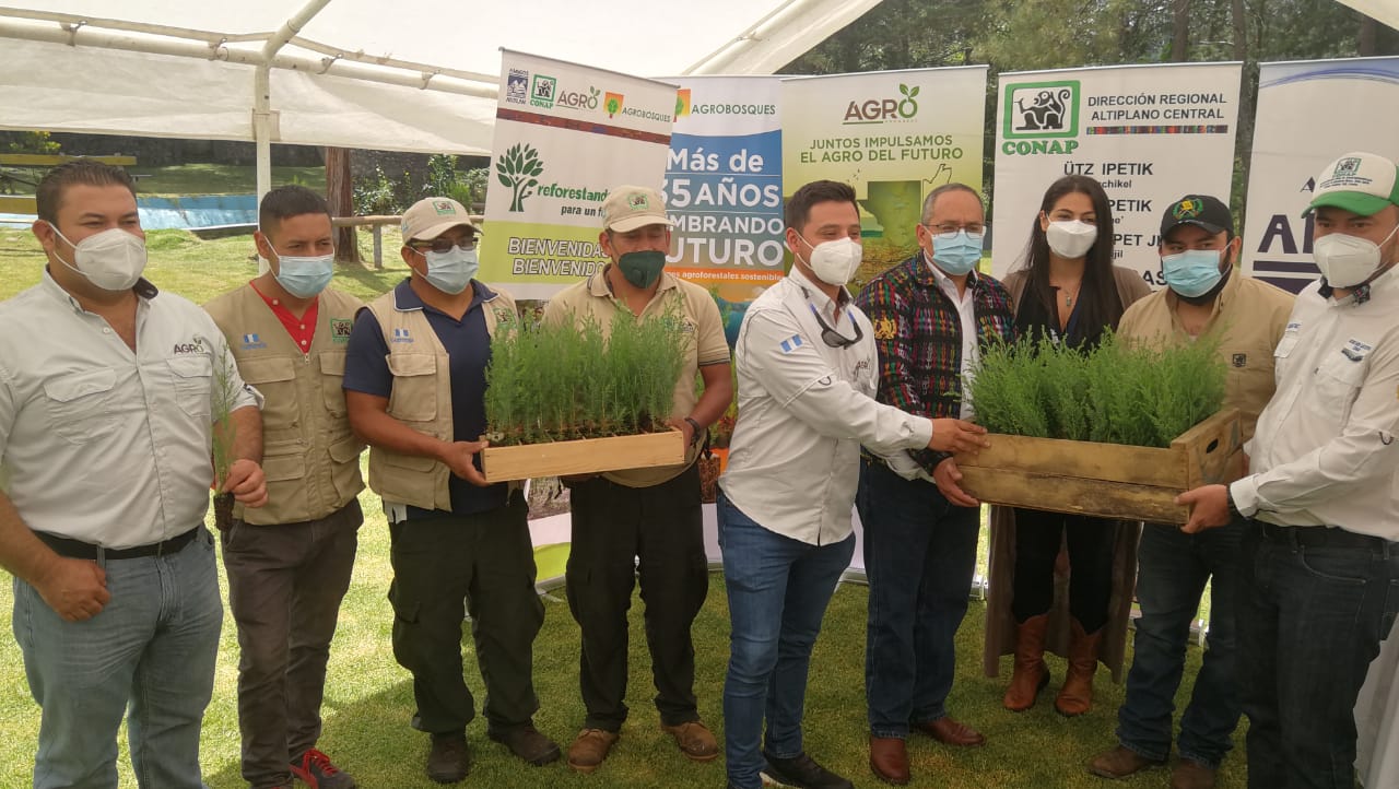 Lanzan campaña Reforestando Atitlán para un Futuro Verde