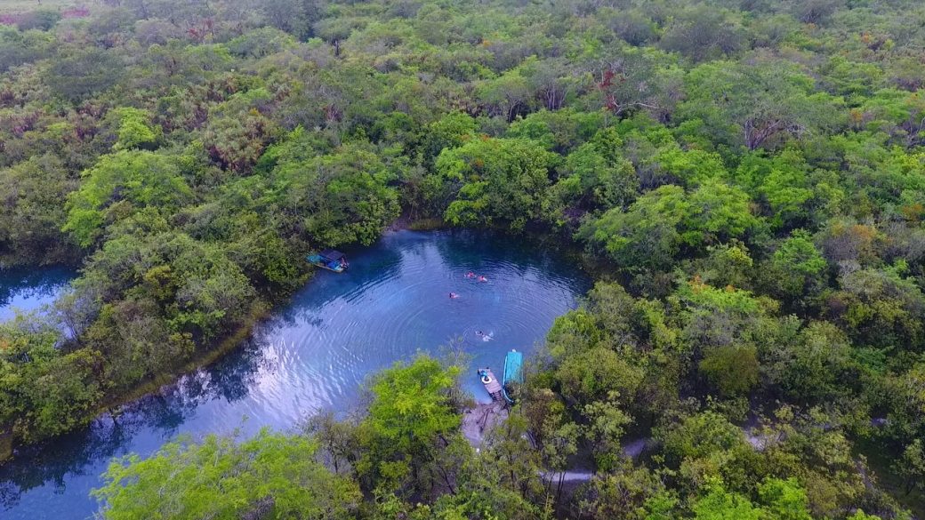 Los bosques tropicales y su importancia para la biodiversidad
