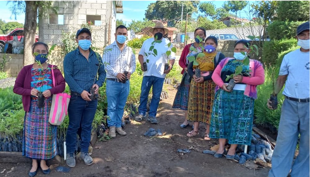 MARN contribuye a la reforestación de Chimaltenango