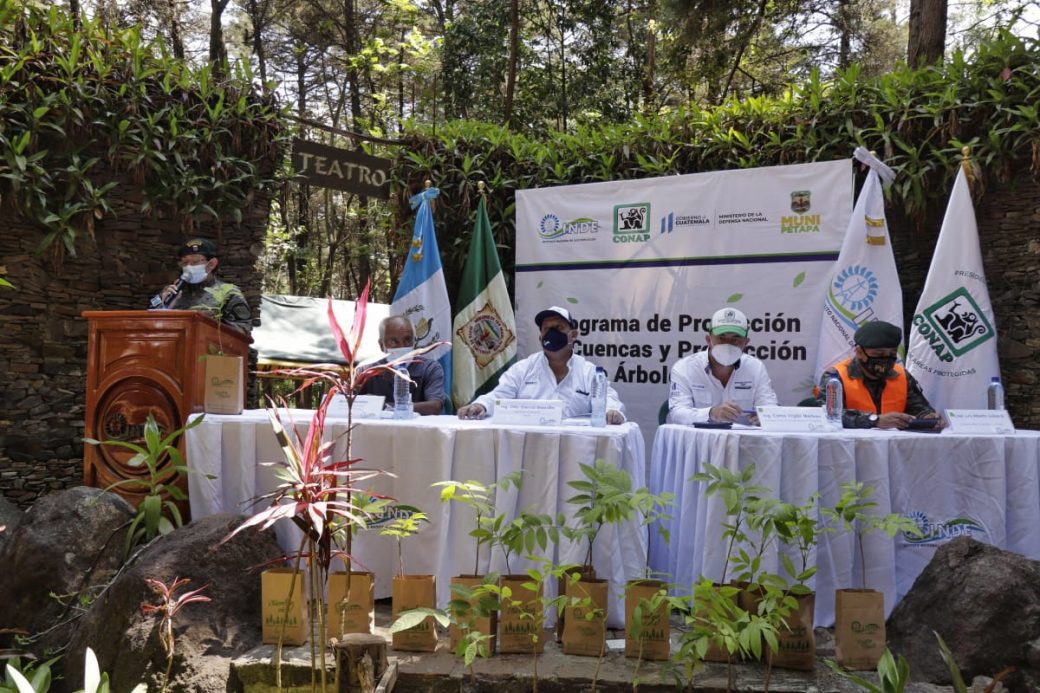 INDE lanza Programa para la Protección de Cuencas y Producción de Árboles