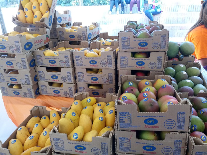 Lanzan Visar en línea, plataforma virtual para agilizar procesos de importación y exportación