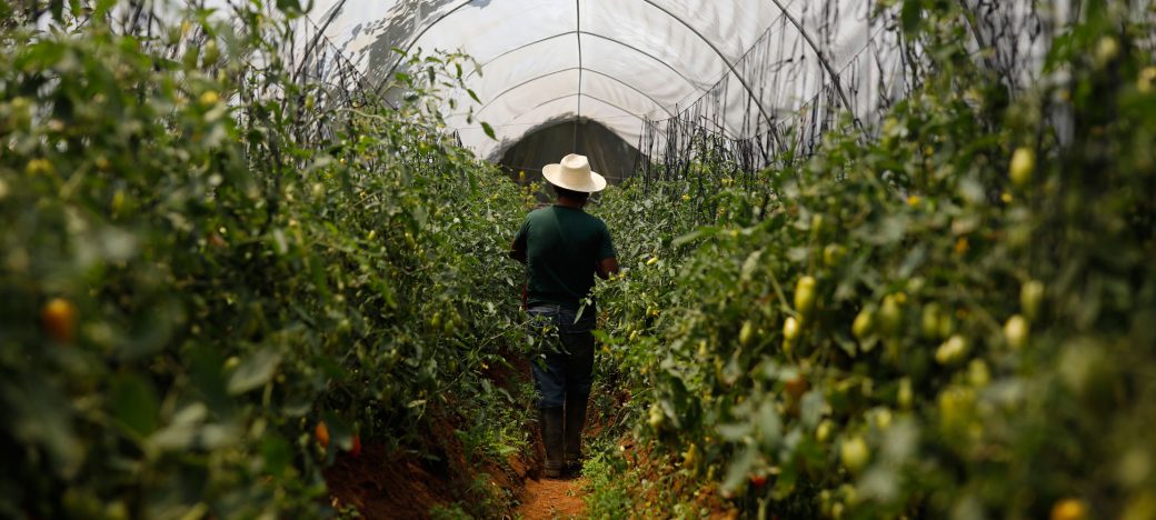 Guatemala promueve oportunidades laborales en el extranjero