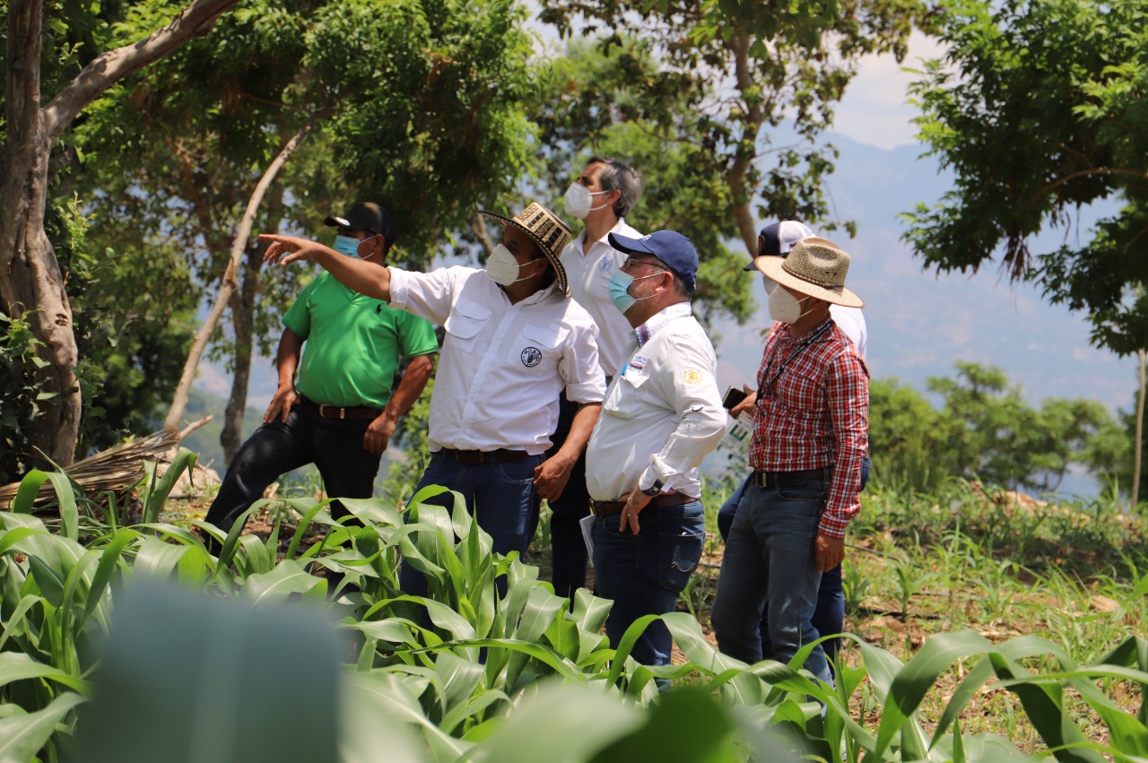 Priorizan atención de agricultores del corredor seco