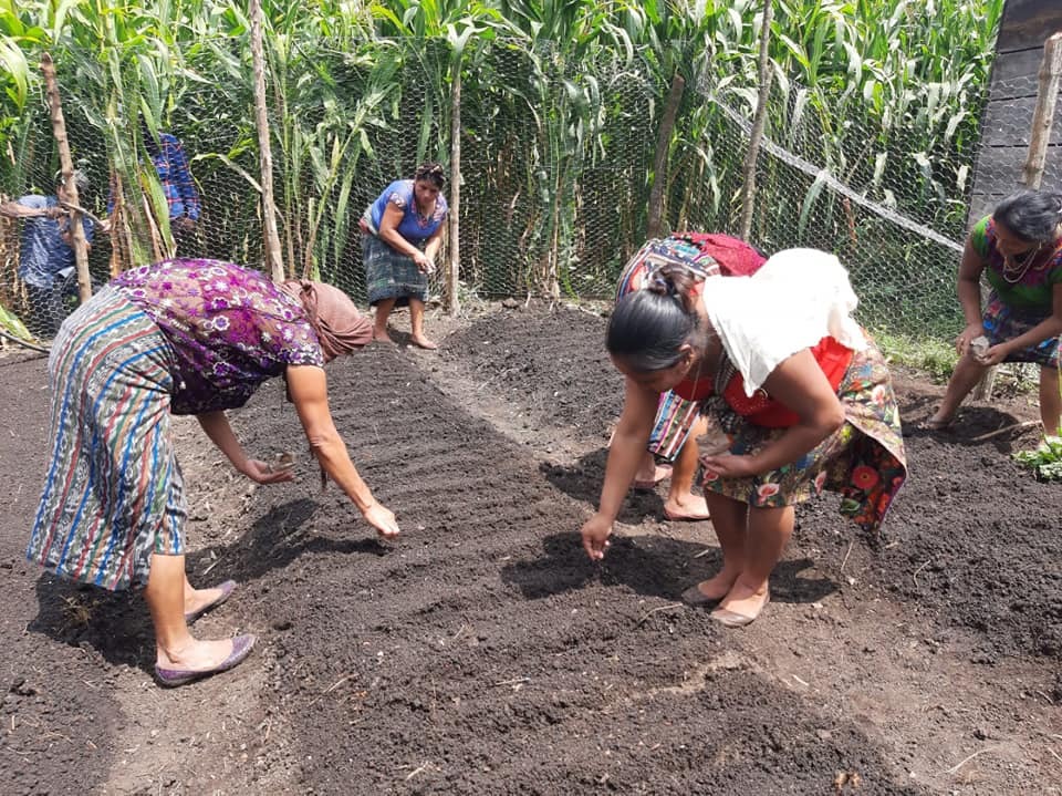 Vecinas de Petatán se capacitan en creación de huertos