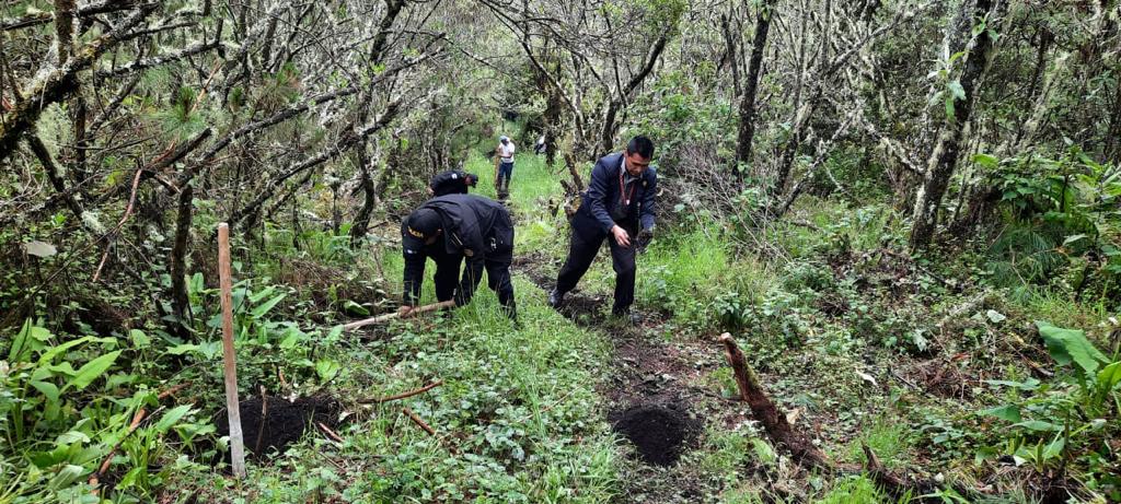 PNC y autoridades comunitarias plantan 500 árboles en Totonicapán