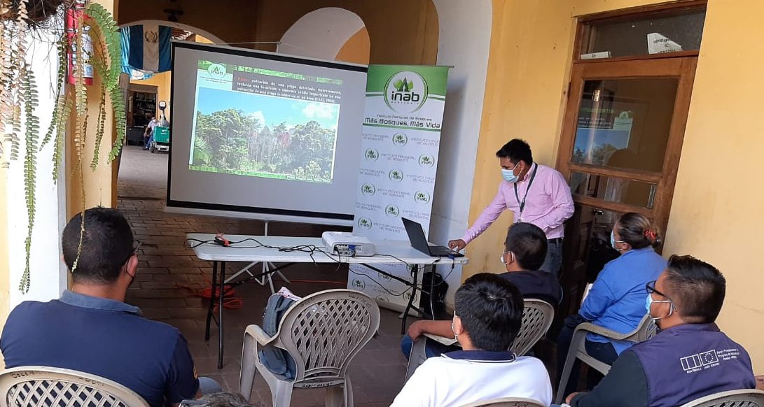 Extensionistas rurales de Suchitepéquez refuerzan sus capacidades en temas forestales