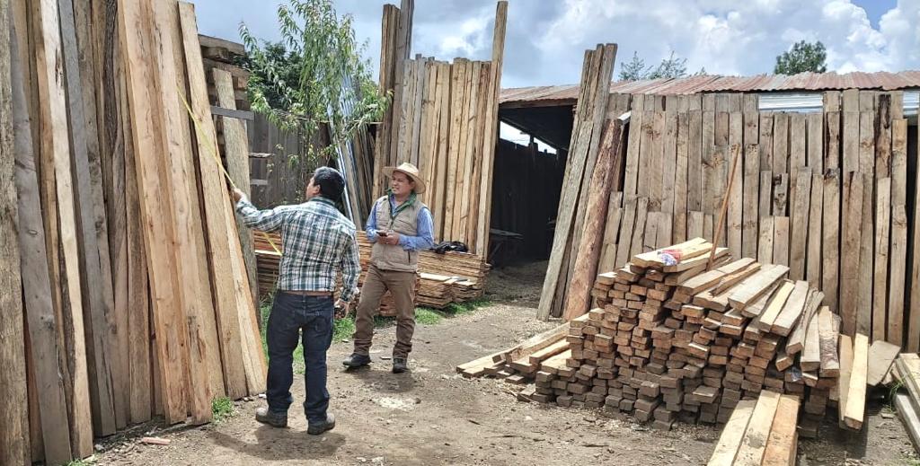 Inab fiscaliza empresas forestales de Totonicapán